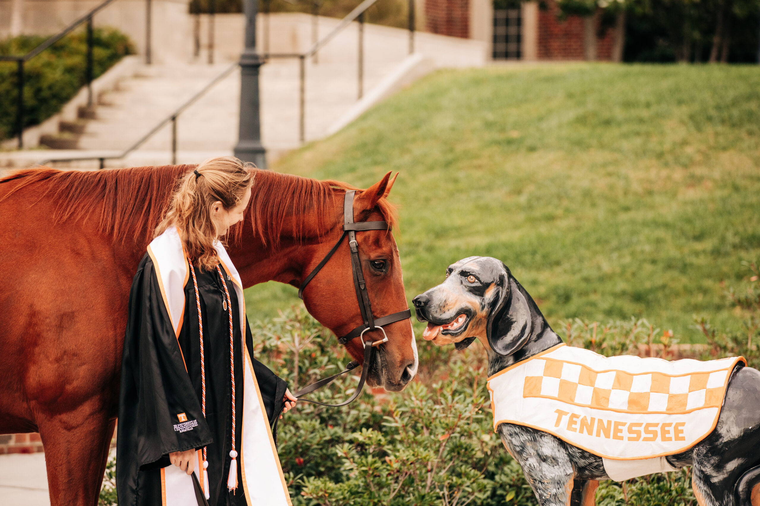 University of Tennessee Grad Session